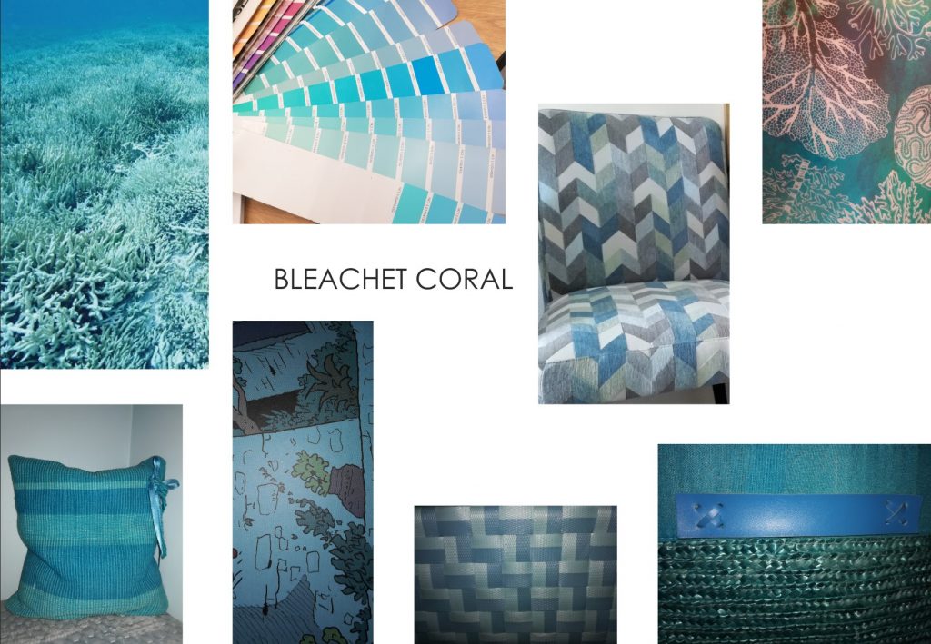 bleachet coral